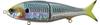 ZipBaits Conohira 210 Floating Jointed Lure 926 (5016)