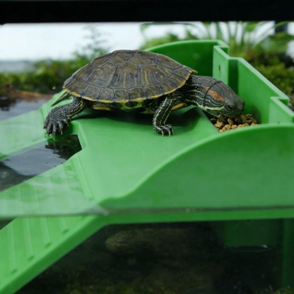 Double Ladder Turtle Basking Platform Plastic Feeding Platform Aquatic Turtles