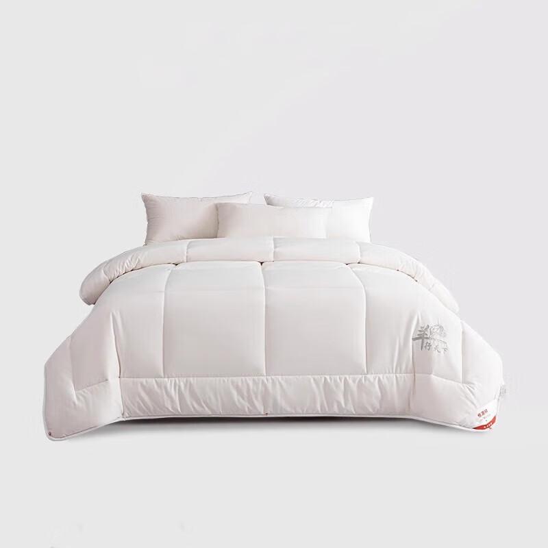 

Hengyuanxiang Thickened Warm Winter Duvet Insert
