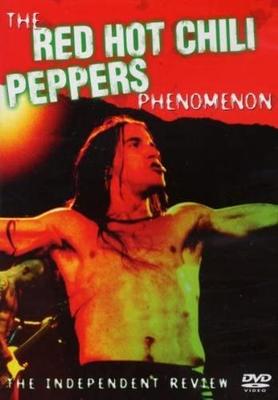 DVD DVD - Phenomenon (Sub)  PEN1954 Angry Penguin L 2005 Europe Movies & DVD Used