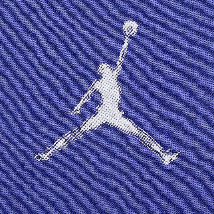 Jordan As M J Sprt Df Ss Crew Logo Round Neck Versatile Short Sleeve T-Shirt Men T-Shirts Purple HJ2398-543