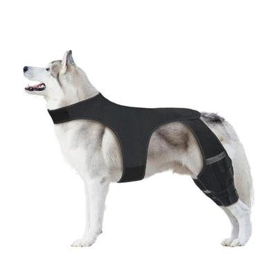 Elastische Hundebeinstütze Wickel Effiziente Gelenkschutzhülle Für Ältere Verletzte Hunde Hinterbein Stützend