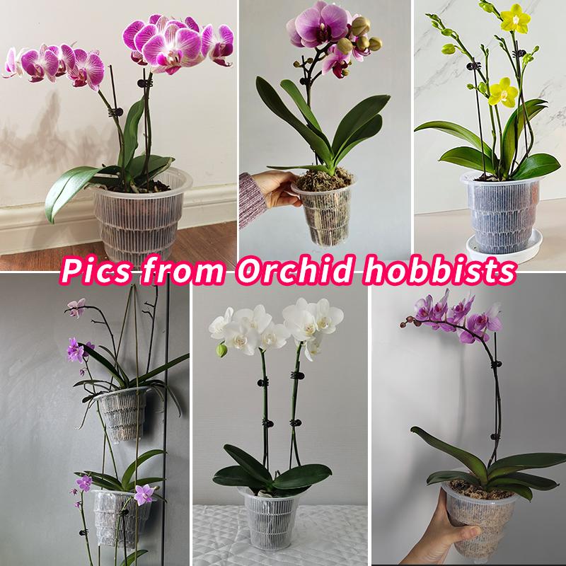 Meshpot Orchid Pot Clear Orchid Pots with Holes Plastic Orchid Pots In 10cm 12cm 15cm