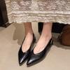 Fashion Matching Skirt Temperament Single Shoes Women Autumn 2025 New Fashion All-match French Closed Toe Sandals