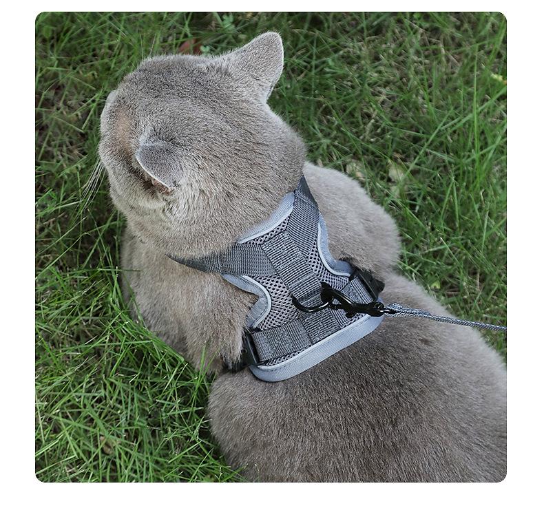 Reflective Vest-Style Cat Leash & Breathable Harness for Small/Medium Pets