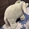 [USED] Steiff Teddy Bear Steiff Trampili Elephant