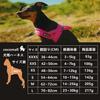 cocomall Dog TRUE LOVE Japan Authorized Dog Dog Pet Harness 3M Reflective For and Large Suitable for Summer Throat-Friendly Harness, Store, Harness,