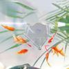 Acrylic Red Blood Worm Fish Feeder Clear Hanging Water Planting Cylinder Cup Mini with Suction Cup Red Worms Plant Cup