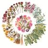 Plant Flower Floral Decorative Journaling Supplies Big Size Transparent Waterproof Cottagecore Stickers DIY Sticker 5 Styles