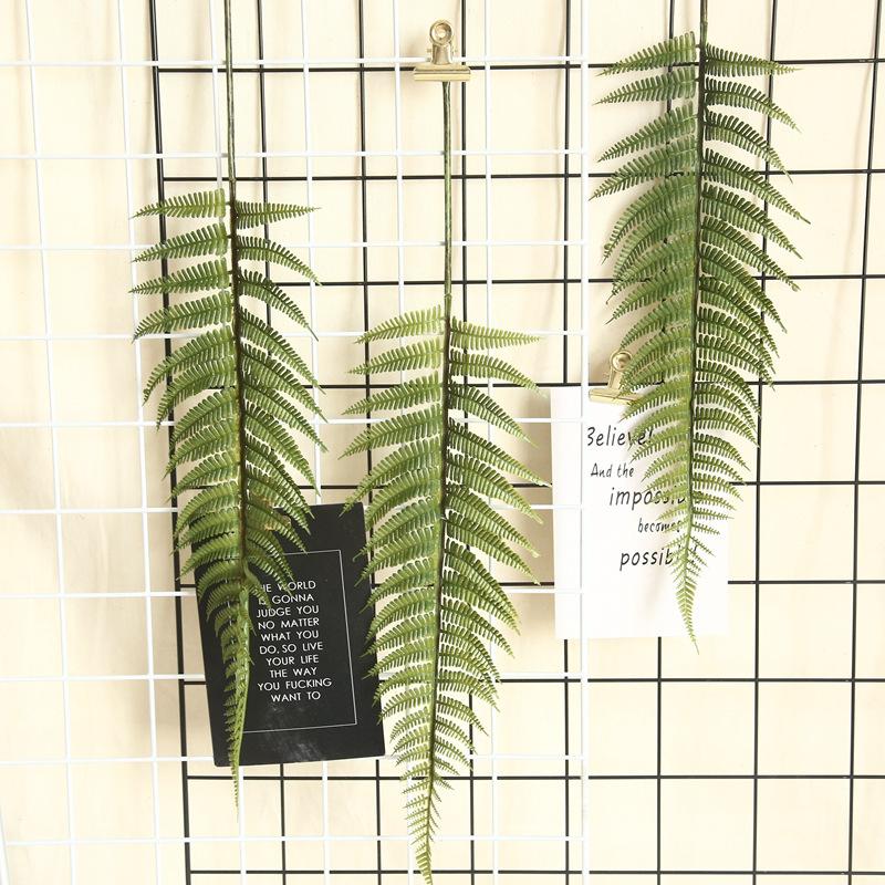 

Лист папоротника Dypsis Lutescens Черепаха Задний лист Имитация цветка
