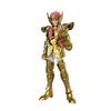 Saint Seyia - Champion class 08 Aquarius Camus