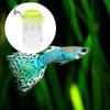 2Pcs Suction Cup Fish Breeding Isolation Box Fish Tank Hatching Incubator  Hatching Equipment