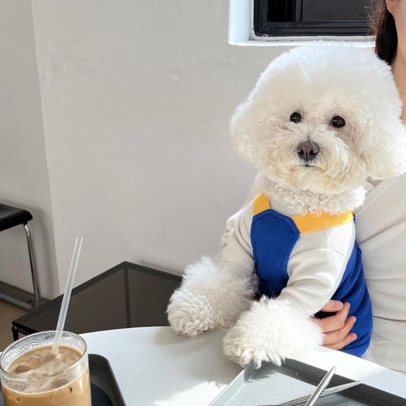 Dog Cats Overalls Fashion and Easy to Clean Suspender Pants for Pet Outdoor Fashion Clothing for Small Breeds Spring Wear