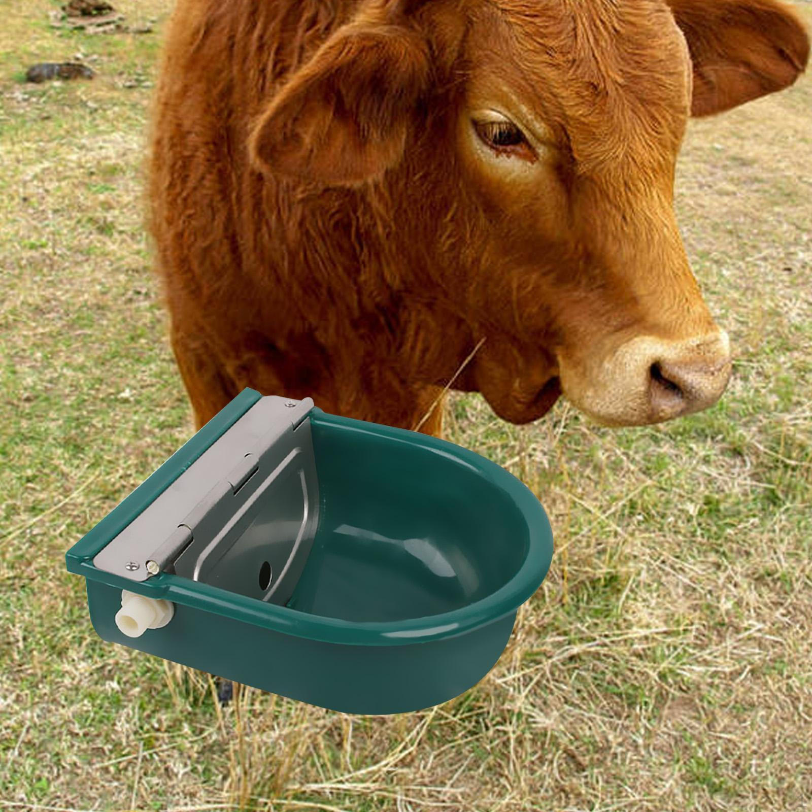 Automatic Cow Drinking Water Bowl Sheep Feeder Bowls Calves Waterer Cups for