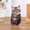 Dog Car Shaking Head Cat Funny Car Shaking Head Ornament Car Shaking Head Dog  Car Interior