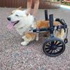 Großer Hunde-Rollstuhl-Hilfswagen für ältere, behinderte Haustiere Rehabilitations-Unterstützung Laufwagen für Hinterbeine Handicap Haustier Geh-Hilfe