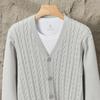 2025 Autumn/Winter Men's Casual Korean Style V-Neck Cardigan Sweater