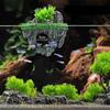 Aquariums Handicrafts Breeding Crafts Decorations Fish Tanks Landscape Supplies