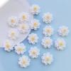 60Pcs Cute Mixed Mini Little White Flowers Flat Back Resin Cabochons Scrapbooking DIY Jewelry Craft Decoration Accessories H220