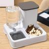 2 In 1 Automatic Pet Feeder Cat Feeder And Water Dispenser Pet Food And GravityAnd Waterer