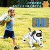 Robot Musical Voice Electronic Interactive Dog Soothing Birthday Gift for Boys and Christmas Gift for Kids and the Family Dog, Playing, Programmable,