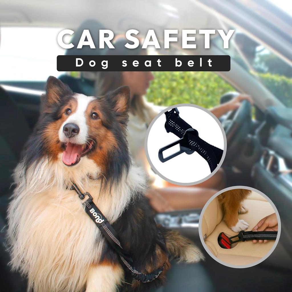 Bond Dog Running Leash Hands Free with Pouch, Hands Free Leash for Large Dogs, Pet Lead Running Belt for Walking & Canicross Belt, Includes Waist
