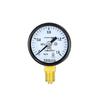 Qingwa Y40 Pressure Gauge