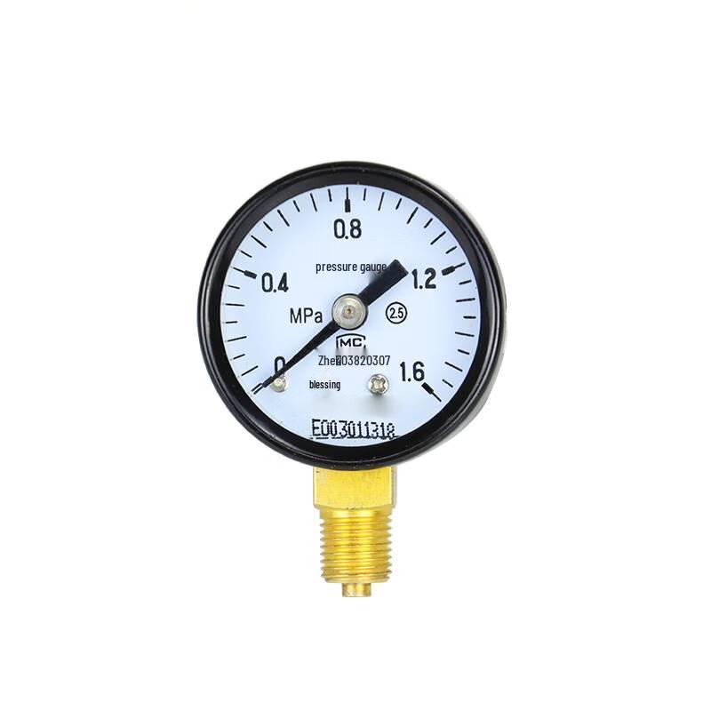 Qingwa Y40 Pressure Gauge