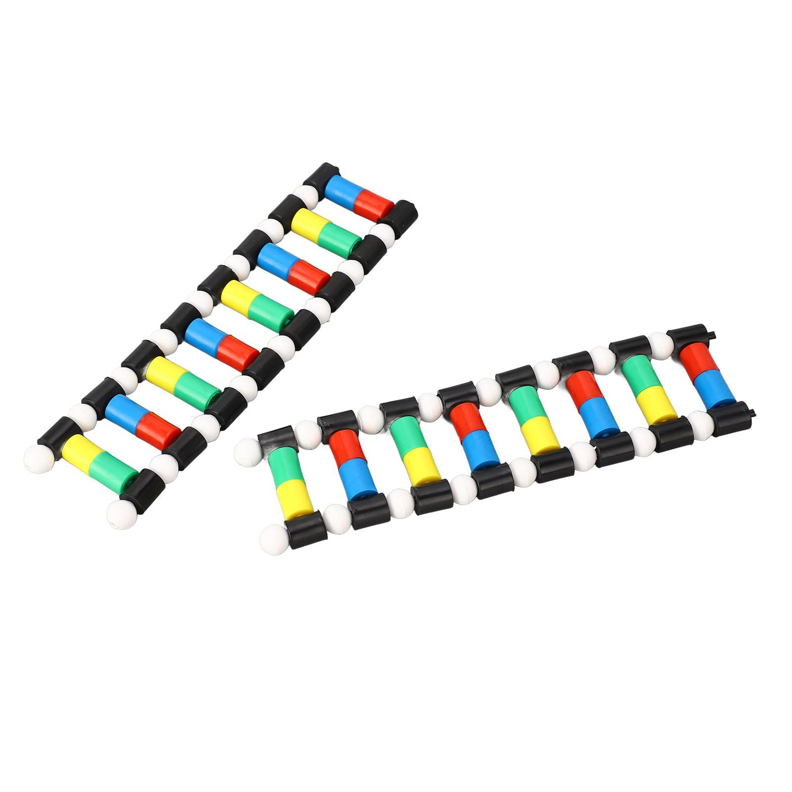 

Набор для молекулярной модели структуры двойной спирали ДНК для обучения биологической генетике