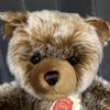 [USED] HERMANN teddy bear