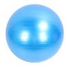 Extra Thick Exercise Ball PVC Anti Burst Inflatable Gym Ball with Pump for Pilates Balance Stability Core Workout