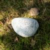 Resin Disguised Rock Key Storage Box Realistic Fake Rock Statue Decoration  Garden Decoration