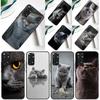 Beautiful Grey British Shorthair Cat Case For Xiaomi Redmi Note 13 Pro 14 12 9 10 11 Pro 10S 11S 12S Redmi 10C 13C 14C 12C Cover