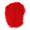 Natural Accessories Colorful Jewelry Making Clothing Decoration Home Decor Ostrich Feathers Plumas