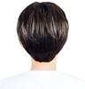 short Korean idol for men and with wig heat natural [TefuRe] Men's wig, short, natural, men's wig, wig, hair, boys, Korean, style, mesh, gradation,