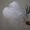 White Ostrich Feathers 15-80cm for Lighting, Wedding Aisle Decor, Photo Props, and Vase Ornaments