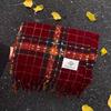 Korean Style Imitation Cashmere Plaid Scarf - Women's Warm, Thick, and Versatile Neck Warmer for Fall and Winter.