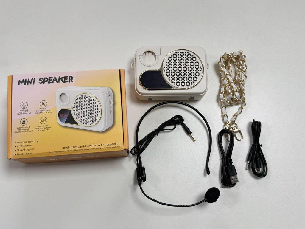 Portable Bluetooth Speaker & Lightweight Wireless Microphone for Teachers & Musicians