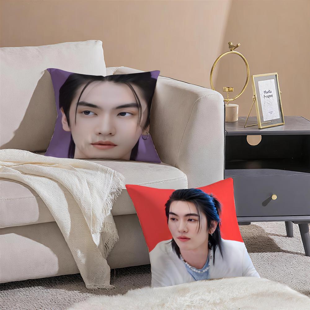 Thai Actor BBoss Chaikamons Star Cushion Cover Throw Pillow Cover Hidden Button Durable Polyester Chair Cushion