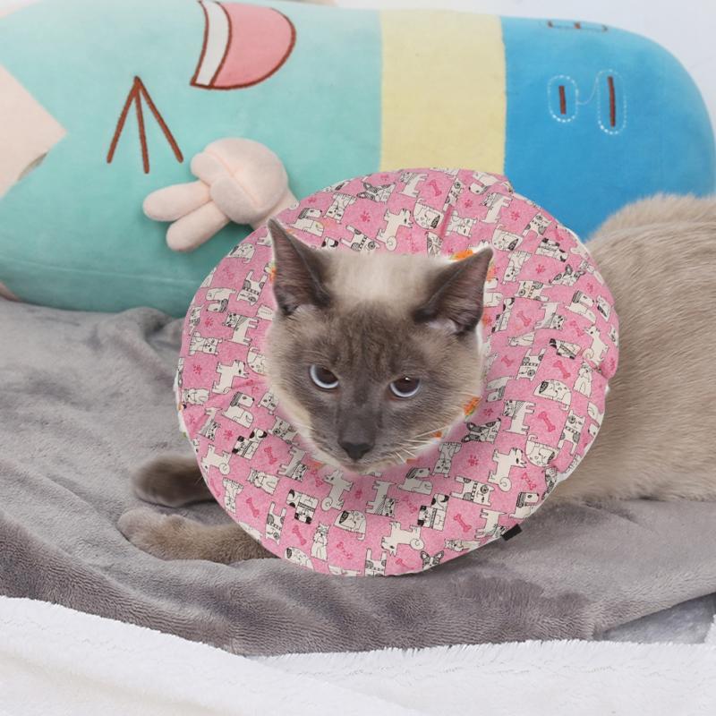 scratch resistant cat collar