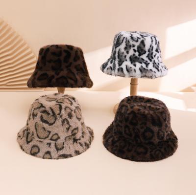 Cappelli – Panama