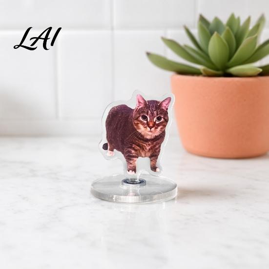 Artistic Home Decoration 2D Flat Rotating Acrylic Cat Sign for Car Dashboard Desk Decor Cute Print Office Ornament Tabletop Centerpiece with