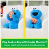 GUND Sesame Street Peekaboo Cookie Monster 6069780