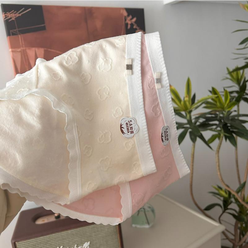 Dámské Kalhotky Pevná bavlna Elastická střední část pasu Dívčí spodní prádlo Tenké Prodyšné Intimní oblečení Dámské spodní prádlo Kalhotky
