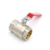 Stainless Steel BallValve SS304 2P Full Port Ball Valve 1/2" 3/4" 1" 1-1/4" Female Valve Vinyl Handle Valves