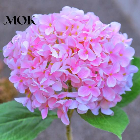 All Season Outdoor Lights Fairy Hydrangea Lights, Solar Garden Stake Waterproof LED Flower Light, Colorful Lamp for Patio Lawn Pathway Decor