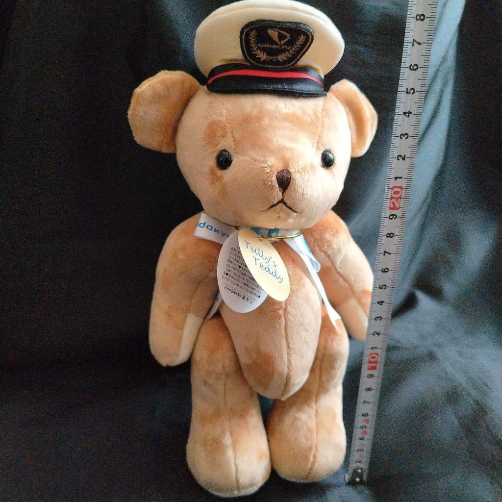 [USED] [Tagged] Limited-Quantity Release Tully's x Odakyu Collaboration Teddy Bear Romance Car