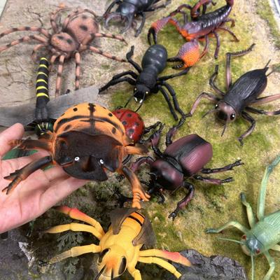 Wildes Insekten-Tier-Modellset Schmetterling Skorpion Gottesanbeterin Zikade Eidechse Actionfiguren Miniatur Kinderbildung Halloween Spielzeug