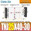 Regulowany skok Dwosiowy cylinder pneumatyczny dwururkowy TNJ TNJ10/16/20/25/32-30-100