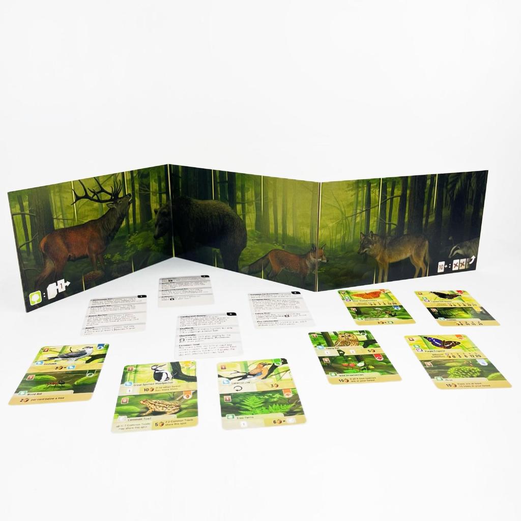 Forest Shuffle Card Family Game for Kids Adults Woodland Edge Party Board Games